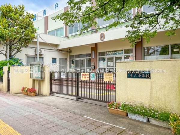 クレストフォルム青砥グランデッツアの小学校画像