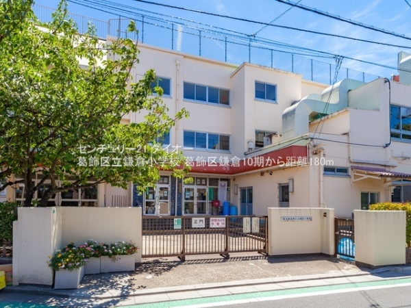 葛飾区鎌倉4丁目の新築一戸建の小学校画像