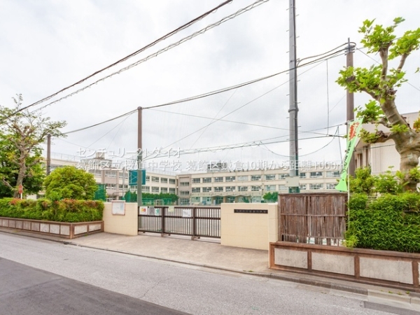 葛飾区鎌倉4丁目の新築一戸建の中学校画像