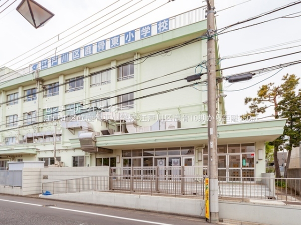 江戸川区鹿骨2丁目の新築一戸建の小学校画像