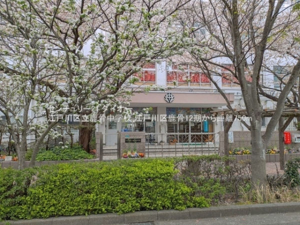 江戸川区鹿骨４丁目の土地の中学校画像