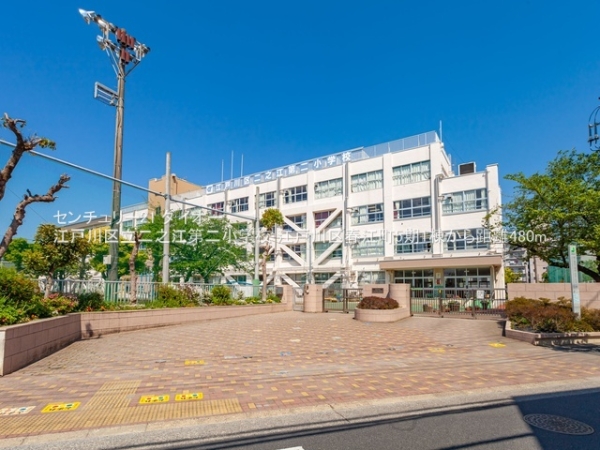 江戸川区春江町５丁目の新築一戸建の小学校画像