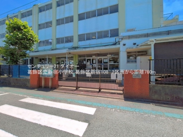 葛飾区新宿１丁目の土地の小学校画像
