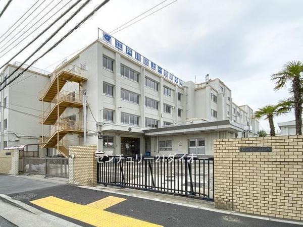 江戸川区本一色3丁目の小学校画像