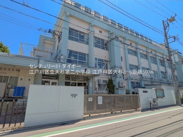 江戸川区大杉３丁目の新築一戸建の小学校画像