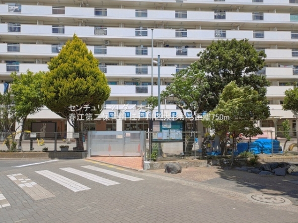 江戸川区大杉３丁目の新築一戸建の幼稚園・保育園画像