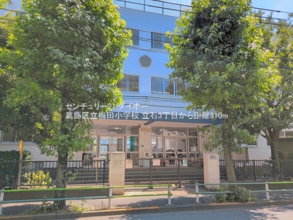 葛飾区立石3丁目の小学校画像