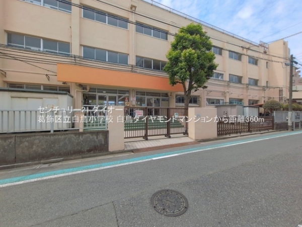 白鳥ダイヤモンドマンションの小学校画像