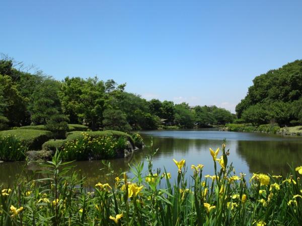 市川市中国分5丁目A号棟の公園画像