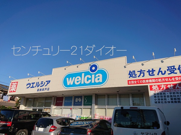 葛飾区奥戸９丁目の中古一戸建のドラッグストア画像