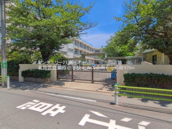 ヒルズ金町の小学校画像