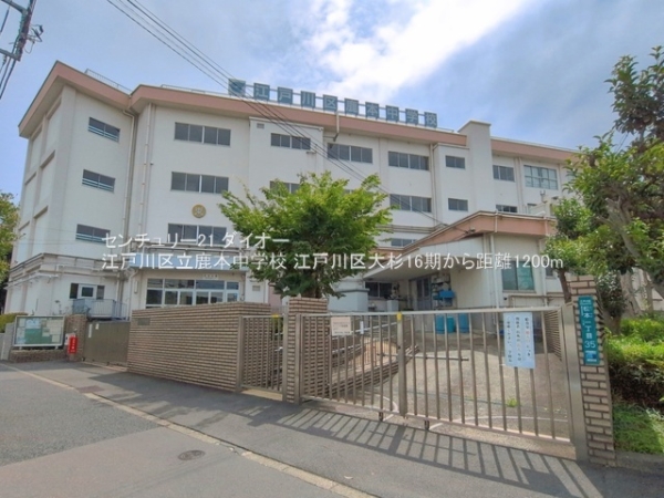 江戸川区大杉4丁目の新築一戸建の中学校画像