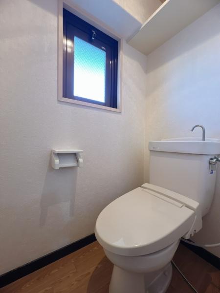 グランディールⅠのトイレ画像