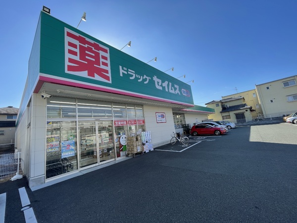 ルイール　310のドラッグストア画像