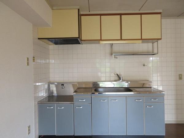 CA-SA-M1 103のキッチン画像