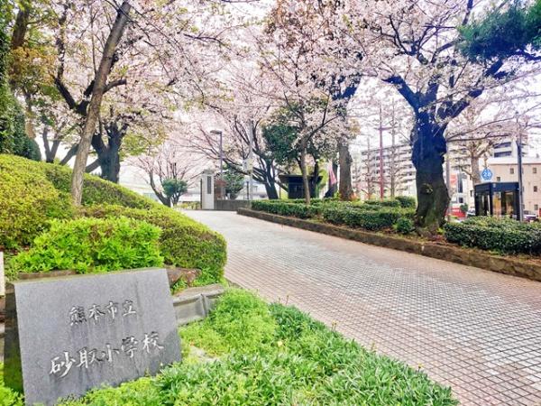パークマンション水前寺公園の小学校画像