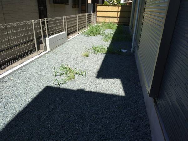東区三郎2丁目1期の庭画像