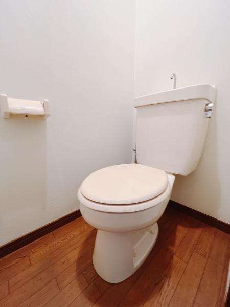 パレドール健軍Ⅱ　403のトイレ画像