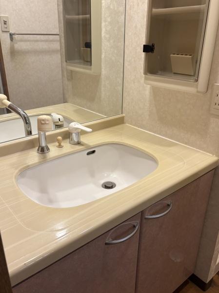 ソフィア三景台の洗面台・洗面所画像