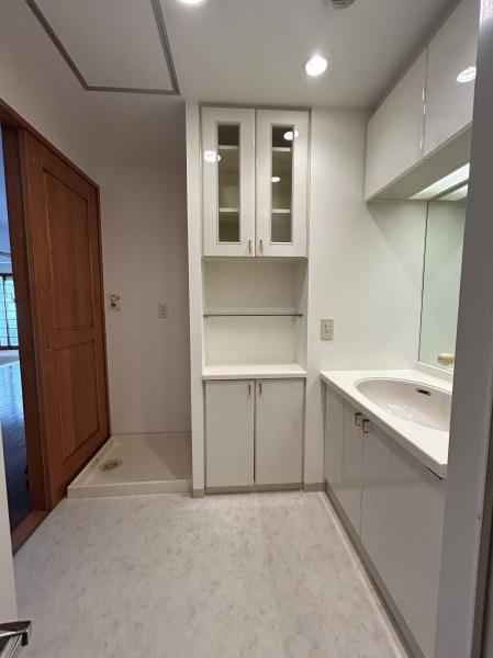 ビバシティ文教壱番館の洗面台・洗面所画像