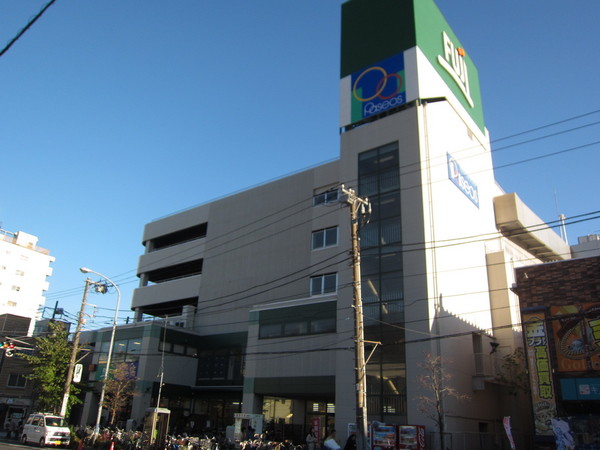 ライオンズマンション日枝町のスーパー画像