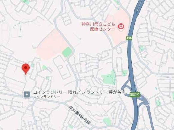 芹が谷売地の現地案内図画像