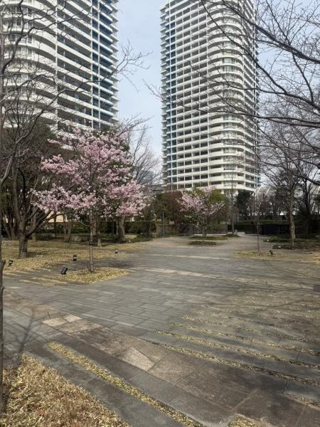 M.M.TOWERSFORESISR棟のその他現地画像