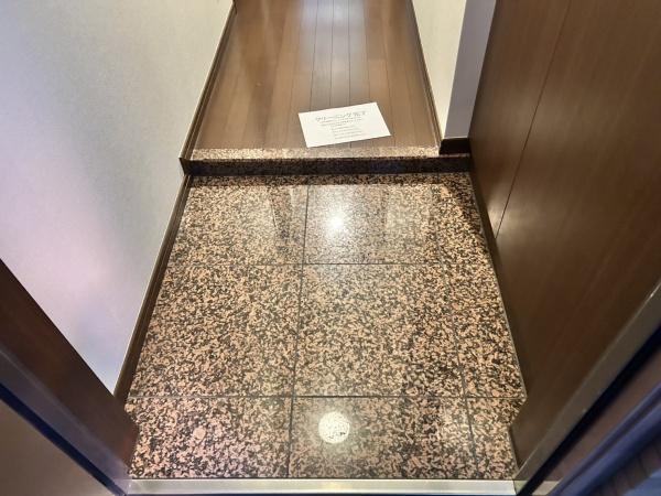 日神パレステージ横浜吉野町の玄関画像