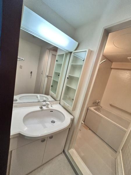 日神パレステージ横浜吉野町の洗面台・洗面所画像