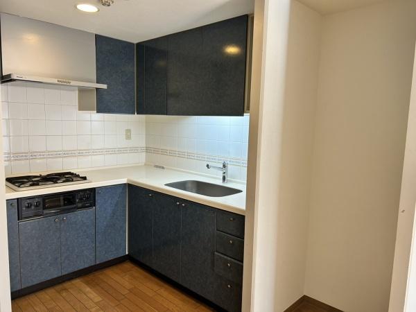 伊勢佐木南パークハウス壱番館のキッチン画像