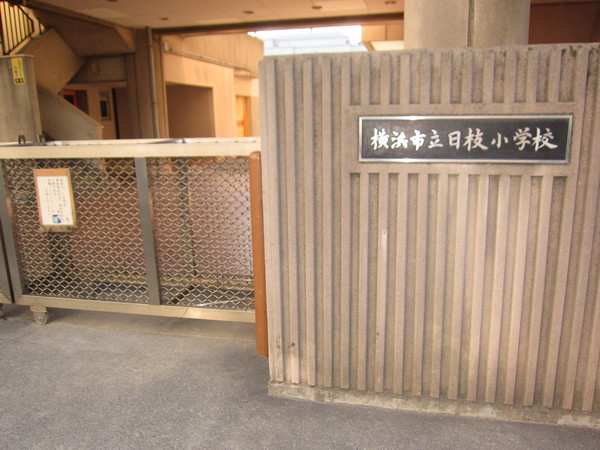RELUXIA横濱吉野町2の小学校画像