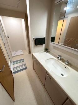 ベルコリーヌ南大沢５－６－６号棟の洗面台・洗面所画像