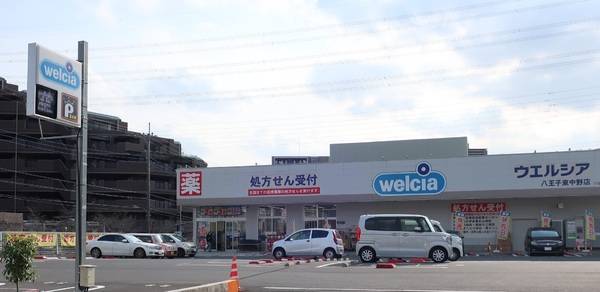 ドラゴンマンション多摩学園都市伍番館８階のドラッグストア画像