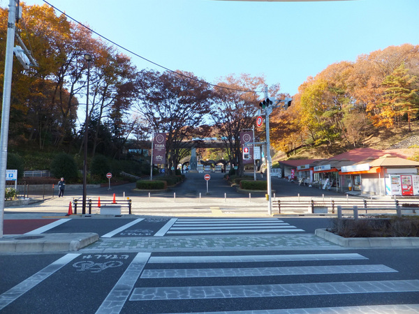 ドラゴンマンション多摩学園都市伍番館８階のレジャー・観光画像