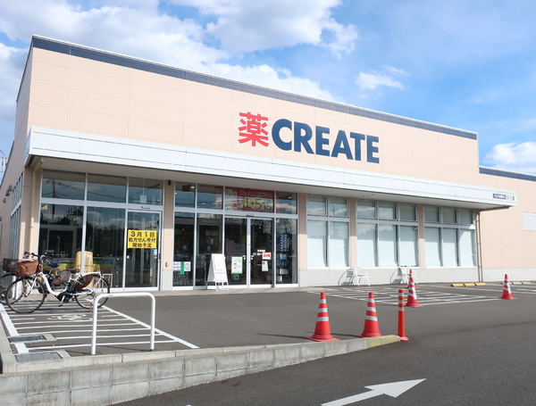 ホームタウン松木17号棟3階のドラッグストア画像