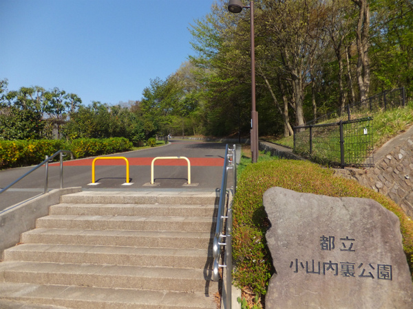 パークフィーネ南大沢４番館　８階の公園画像