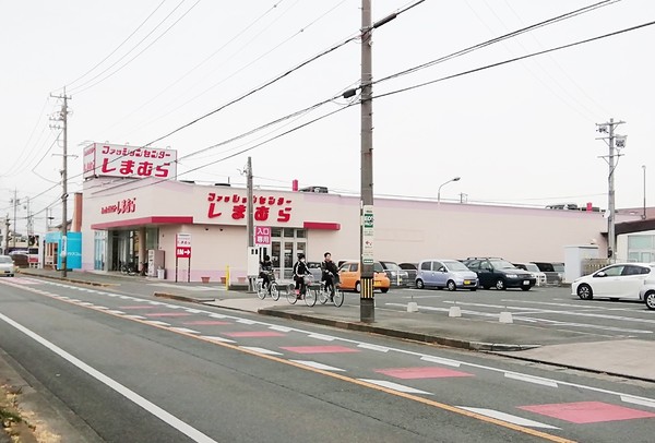 豊川市伊奈町前山のショッピング施設画像