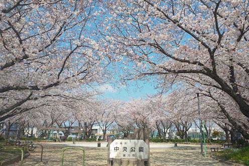 豊川市美園第14　1号棟の公園画像