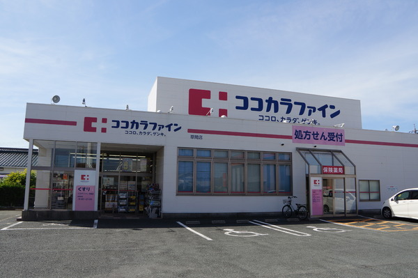 ピュアライフ草間Ⅲ　8階のドラッグストア画像