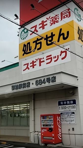 豊川市御油町汲ケ谷のドラッグストア画像