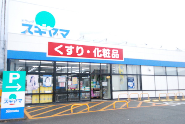 豊橋市多米中町24-1期　3号棟のドラッグストア画像