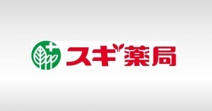 豊川市新豊町1丁目58期　1号棟のドラッグストア画像