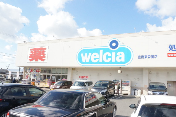 豊橋浪ノ上町　1号棟のドラッグストア画像