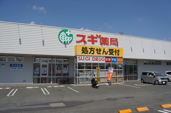 豊橋東幸町　1号棟のドラッグストア画像