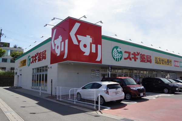 豊橋大村町2期　3号棟のドラッグストア画像