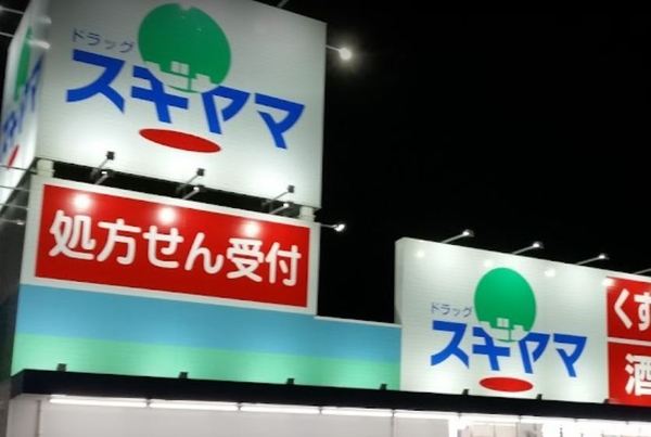 豊川市橋尾町第1期　2号棟のドラッグストア画像