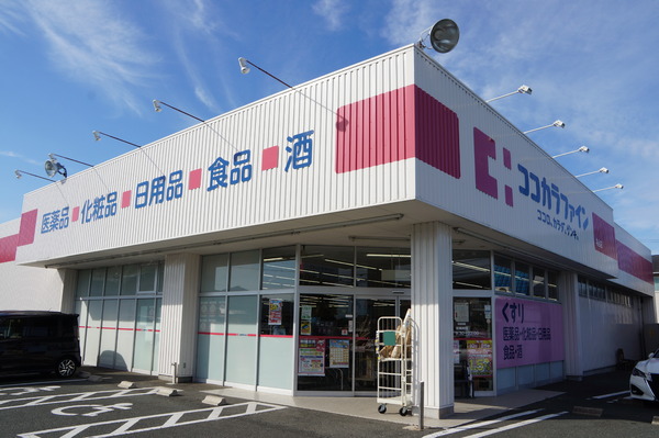 豊川市国府町豊成58期　3号棟のドラッグストア画像