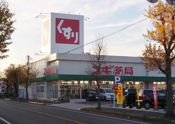 豊橋市中岩田1丁目58期　1号棟のドラッグストア画像