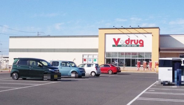 豊橋柳生川南部土地区画整理地内 1号棟のドラッグストア画像