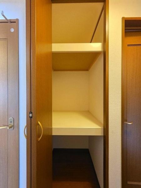 豊橋市忠興1丁目の収納画像